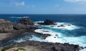 Tour Wandern La Trinité - Martinique pointe de la caravelle - Photo 2