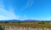 Percorso Marcia Leucate - leucate - cap des frères (sentier des bergers) -la franqui (sentier des guetteurs) - leucate (se tier des vignerons) - Photo 19