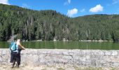 Tour Wandern Urbeis - Col du Wettstein - Hautes-Huttes - Lac du Forlet - Lac Vert - Photo 4