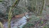 Randonnée Marche Méounes-lès-Montrieux - MONTRIEUX LE GAPEAU - Photo 2