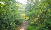 Trail Walking La Roche-en-Ardenne - A la découverte de Maboge 🥾 - Photo 14