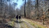 Trail Walking Bertrix - adeps framont  - Photo 8
