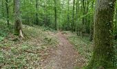 Trail Walking Vendôme - Vendôme Bois de l'Oratoire Circuit 1 - Photo 14