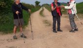 Tocht Stappen Gibles - GIBLES ET SA CAMPAGNE - Photo 4