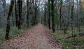 Trail Walking Lanquais - Lanquais 16km - Photo 12