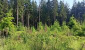 Trail Walking Spa - artistes . nelis . geronster . meyerber . artistes  - Photo 12