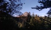 Tocht Stappen Saint-Martial - 2020-09-12  tour du mont gerbier  de jonc et son ascension  - Photo 9