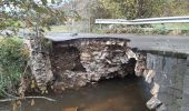 Tocht Stappen Durbuy - aisne . pont le prêtre  . villers sainte gertrude  - Photo 8