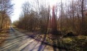 Tocht Te voet Vieux-Moulin - en forêt de Compiègne_23_la Grotte des Ramoneurs_le Mont Berny - Photo 1