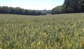 Randonnée Marche Anhée - Boucle de 12 km au départ de Warnant - Photo 4