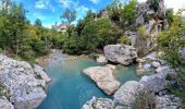 Trail Walking Estoublon - Gorges de Trévans - Photo 17