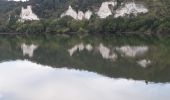 Randonnée Marche Cléon - Cléon vers Bédane le long de la Seine - Photo 5