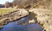 Trail Walking Bütgenbach - Promenade le long de la Warche   - Photo 5