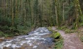 Trail On foot Unknown - Einmündung Littersbach - Bernickel - Photo 8