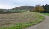 Trail On foot Lautertal - Rundwanderweg Schannenbach 1: Aspenforst-Weg - Photo 10