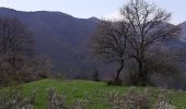 Trail On foot Chiusi della Verna - Mulattiera del Granduca - Photo 4