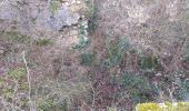 Randonnée Marche Beure - Beure de la pisseur au mercureau  - Photo 4