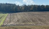 Tocht Stappen Gerpinnes - Wagnèe Fromiée  - Photo 18