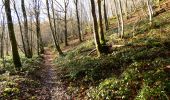 Tocht Stappen Viroinval - La Promenade des Bornes - Olloy-sur-Viroin - Photo 3