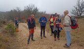 Randonnée Marche Fozières - Fauzieres jolie balade, fangouze, belle montée et retour dans la foret - Photo 17