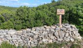 Trail Walking Aramon - aramon - les castillonnes  - Photo 10