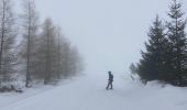Randonnée Raquettes à neige Besse-et-Saint-Anastaise - Lac pavin pealat  - Photo 4