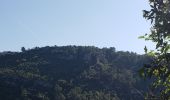 Randonnée Marche Montauroux - Les gorges de la Siagne et les chênes pluricentenaires - Photo 3