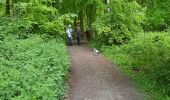 Trail Walking Hoeilaart - groenendael_0521 - Photo 2