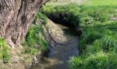 Tour Wandern Chaumont-Gistoux - BE-Chaumont-Gistoux - Le Bercuit par Dion-le-Val - blog le bruant wallon - Photo 4