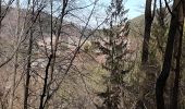 Percorso Marcia Obersteinbach - Obersteinbach - châteaux du Petit Arnsberg, du Wasigenstein et du Blumenstein - Photo 6