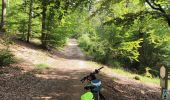 Excursión Senderismo La Roche-en-Ardenne - promenade 4 et 5 pour le groupe du jeudi - Photo 13