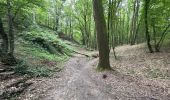 Randonnée Marche Frameries - SARS les Bruyère 17 km - Photo 7