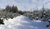 Tour Wandern Libramont-Chevigny - Bonance en hiver - Photo 2