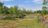 Tour Zu Fuß Unbekannt - Österplana hed och vall - Photo 1