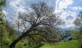 Tour Zu Fuß Irdning-Donnersbachtal - Klammrundweg - Photo 7