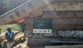 Randonnée Marche Autrans-Méaudre en Vercors - Le bec de lorient - Photo 4