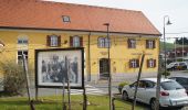 Percorso A piedi Leutschach an der Weinstraße - Kleeblattwanderung Nr. 4b - Photo 3