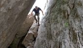 Randonnée Marche Castellane - Col des lèques - Cadières de branlis - Photo 15