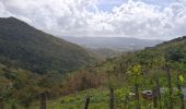Tour Wandern Rivière-Salée - Rivière Salée - Les Trois-Ilets - Le Défi 2025 - Photo 9