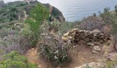 Trail Walking La Ciotat - la ciotat ND la garde vers le sémaphore par les chemins  - Photo 4