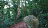 Excursión Senderismo Bouillante - Crête des Bois - Photo 1