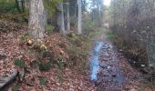 Randonnée Marche Martelange - de ruisseaux en étang  - Photo 17