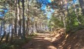 Randonnée Marche nordique Les Salces - Boucle du Loup depuis les Salces - Photo 13