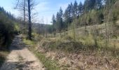 Randonnée Marche Theux - neufmarteau . trou colas . royonpré . neufmarteau  - Photo 10