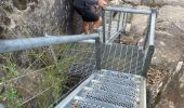 Tocht Stappen Unknown - The Pinacle Grampians Nationaal Park Victoria Australie - Photo 5