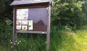 Trail On foot Limbourg - Grunhaut - Photo 10