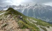 Percorso Marcia Les Houches - Chamonix :  l'aiguillette des Houches - Photo 19