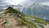 Excursión Senderismo Les Houches - Chamonix :  l'aiguillette des Houches - Photo 19