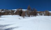 Randonnée Raquettes à neige Entraunes - la boucharde - Photo 3