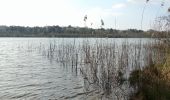 Tour Wandern Morcenx-la-Nouvelle - Arjuzanx lac - Photo 4